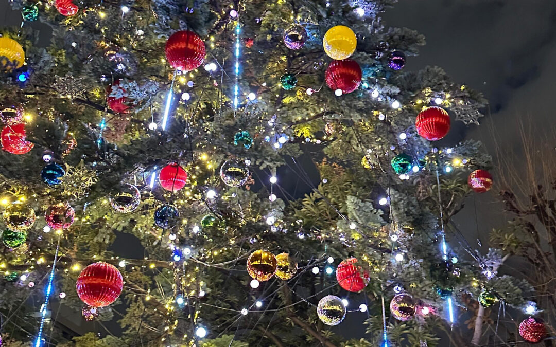 ミッドタウンが綺麗でした✨