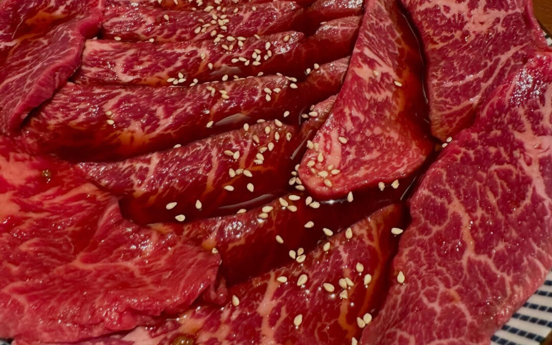 人手不足の為ランチ営業は明日からとなります