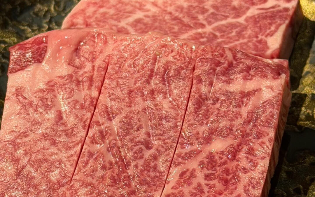 本日も宜しくお願いいたします